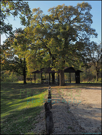 Spruce_Hill_09_web