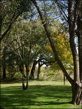 Chippewa_75_web