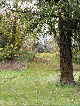 Runestone_098_web