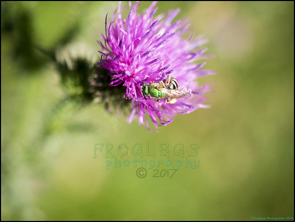 P9290295H_web
