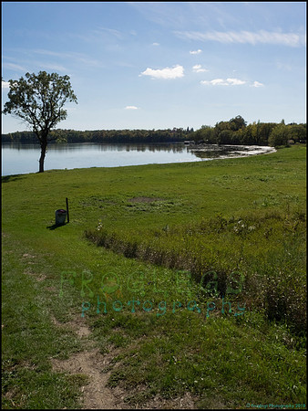 BrophyNorth48_web