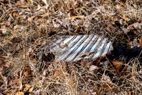 FRG_5257
