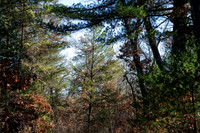 FRG_5248