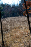 FRG_5256