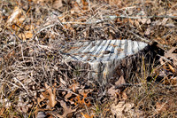FRG_5258