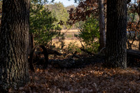 FRG_5268