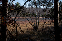 FRG_5272