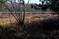 FRG_5273