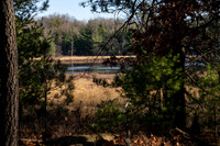 FRG_5270
