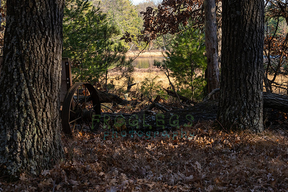 FRG_5269