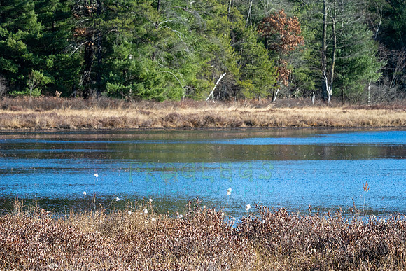 FRG_5285