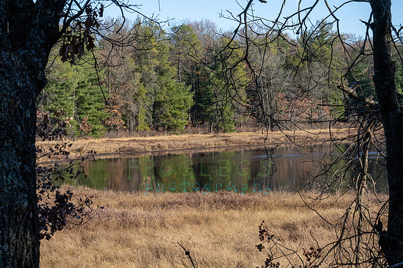 FRG_5290
