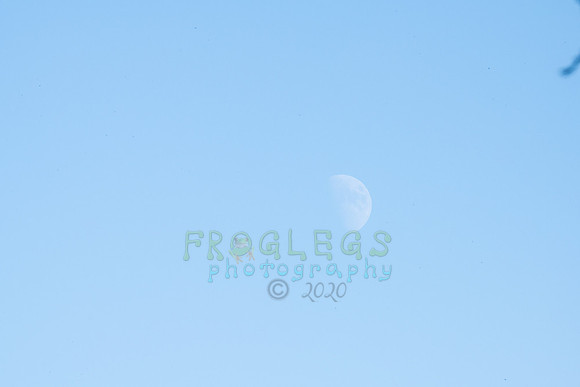 FRG_5310
