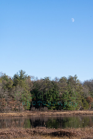 FRG_5316