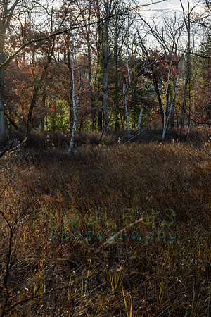 FRG_5344