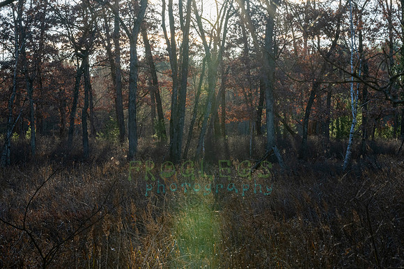 FRG_5359