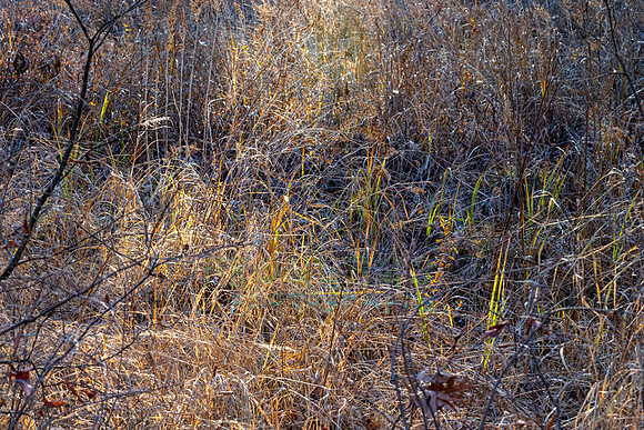 FRG_5357
