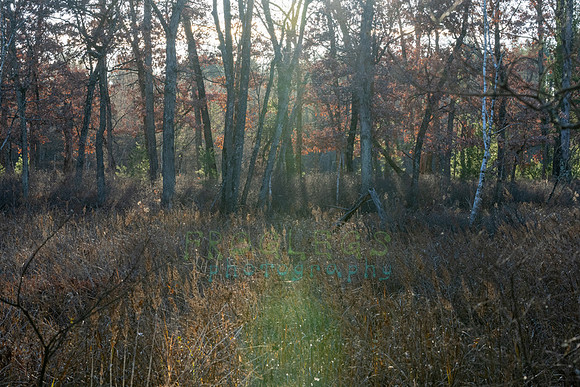 FRG_5358