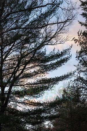 FRG_5485
