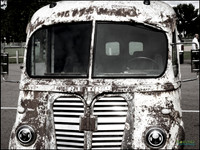 froglegs06_web