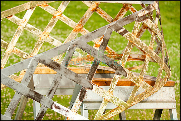 FRG_9032_web