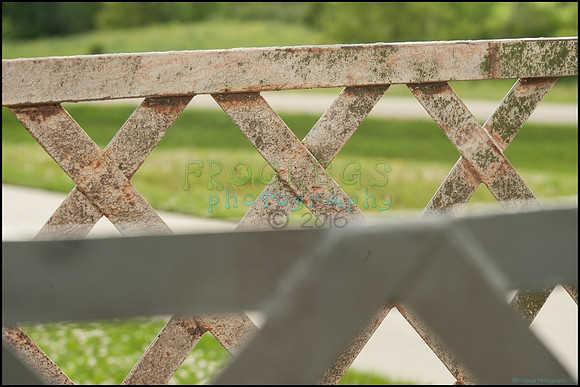 FRG_9081_web