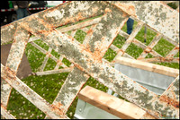 FRG_8907_web
