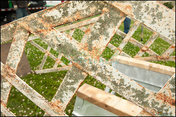 FRG_8907_web