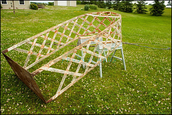 FRG_8910_web