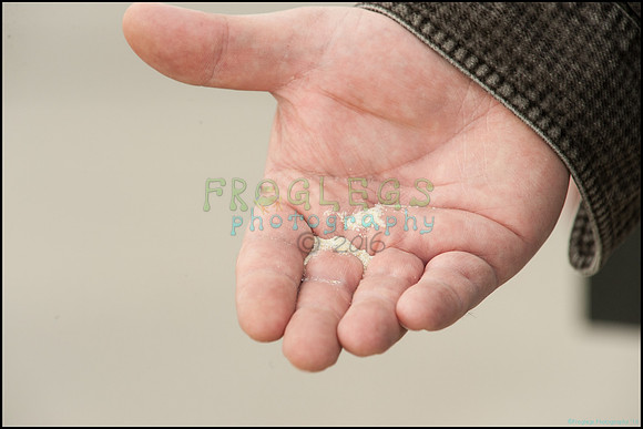FRG_9084_web