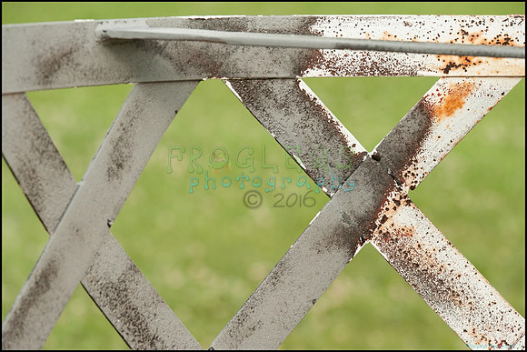 FRG_9079_web