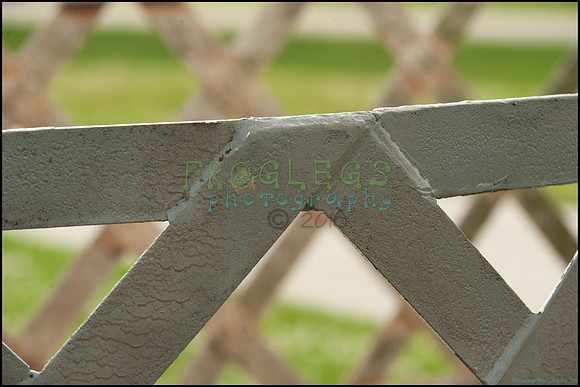 FRG_9082_web