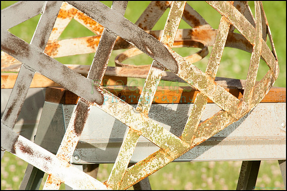 FRG_9036_web