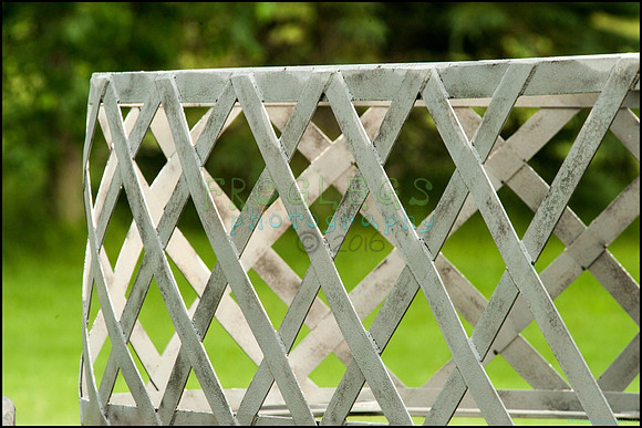 FRG_9150_web