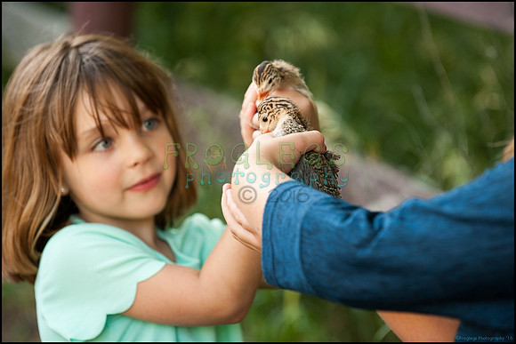 FRG_9611_web