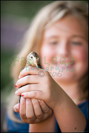 FRG_9609_web