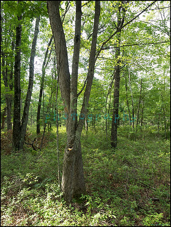p8150072_web