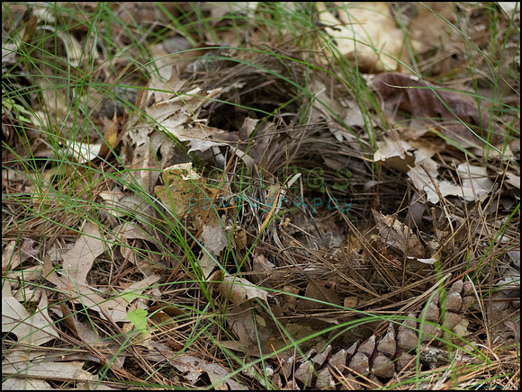 p8150130_web