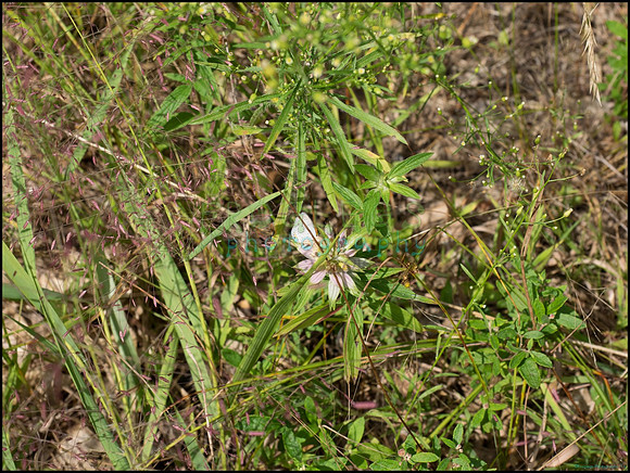 p8150176_web