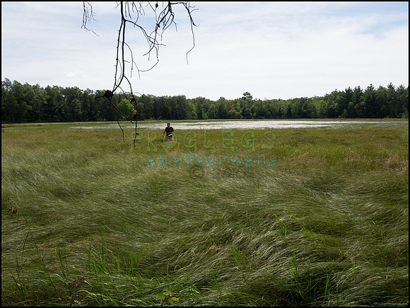 p8150100_web