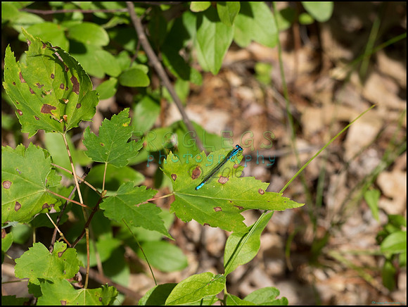 p8150112_web