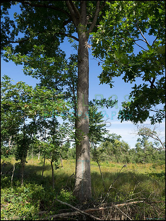 p8150023_web