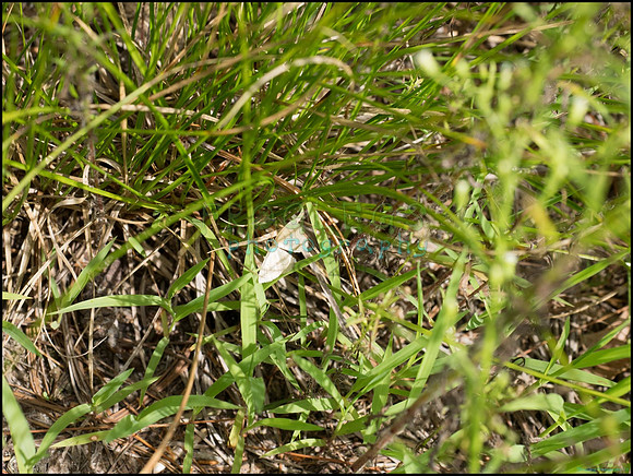p8150185_web