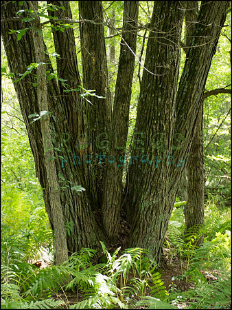 p8150144_web