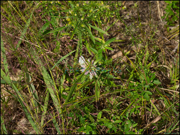 p8150175_web