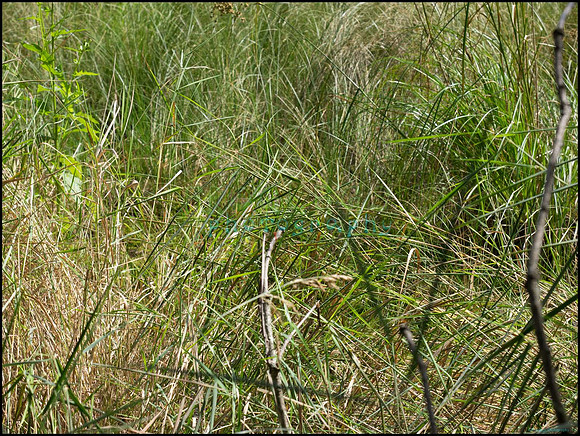 p8150062_web