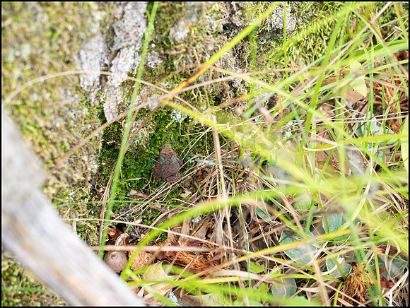 p8150179_web