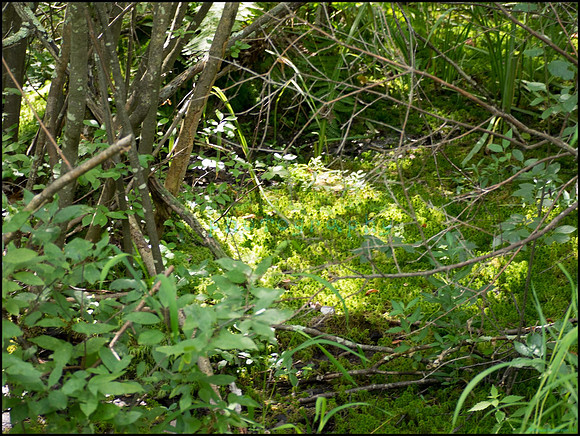 p8150140_web