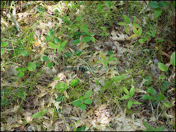 p8150048_web