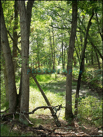 p8150087_web